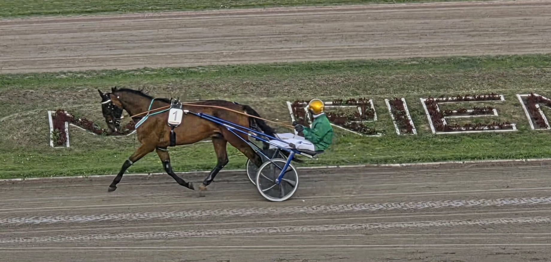 Dämpfer bei der Breeders Crown 2026